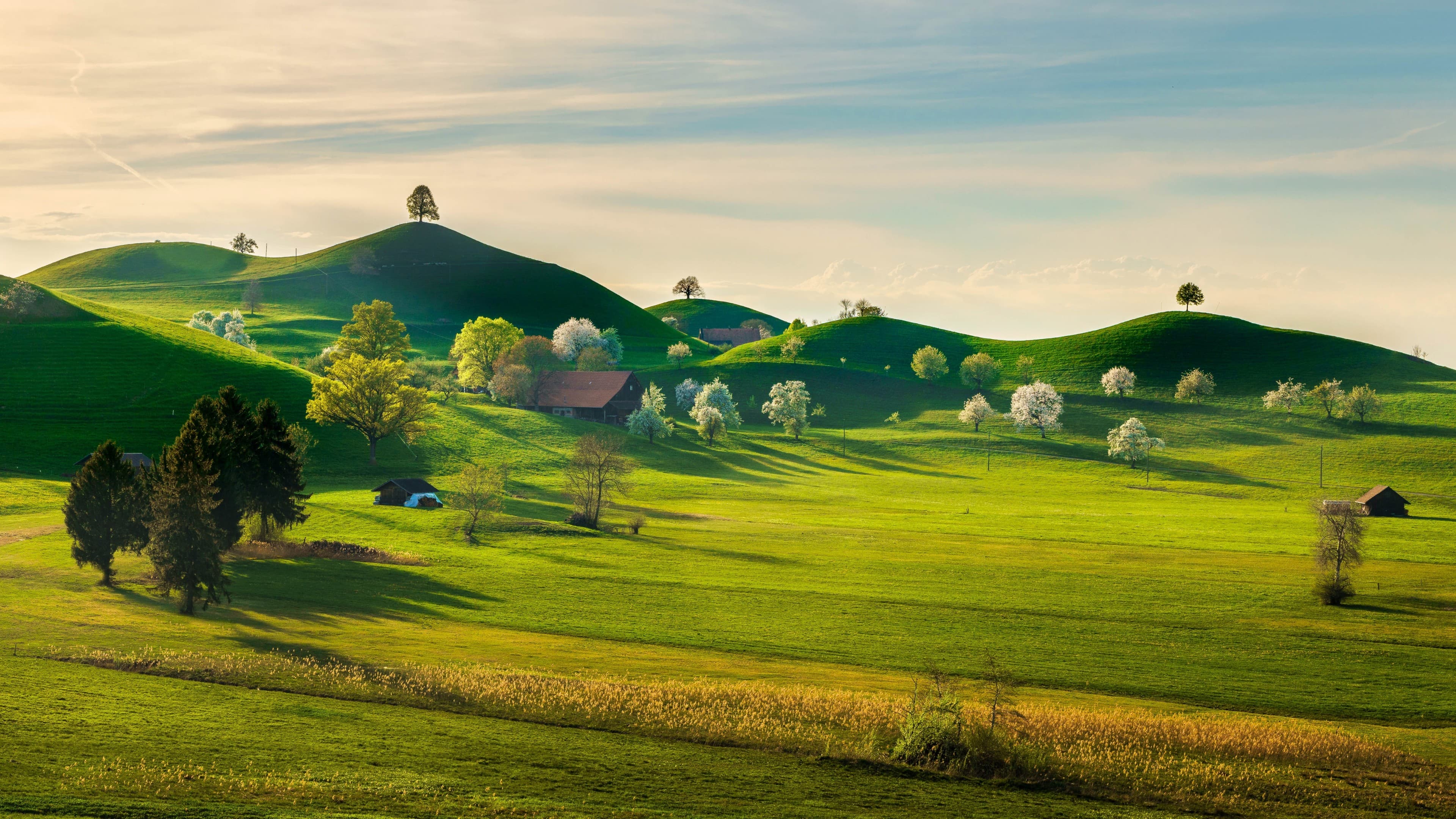 Green hills at sunset